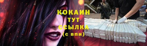 гидра Новодвинск