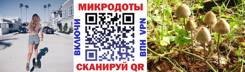Галлюциногенные грибы GOLDEN TEACHER  Корсаков 